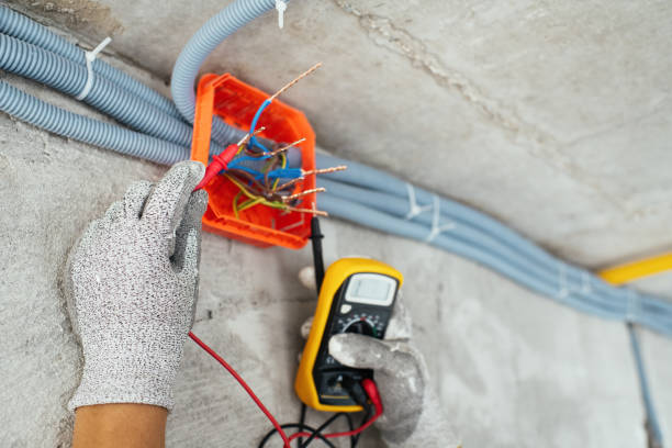 Best Electrician for Home Renovation  in Lauderdale, MN